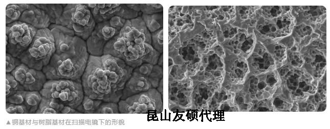 秀山蔡司秀山扫描电镜
